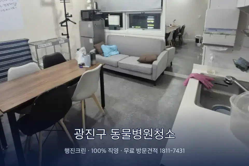 광진구 동물병원청소 병원 휴게 공간 의자 소독